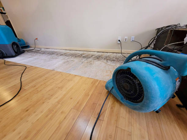 Professional Flood Damage Cleanup technician working in La Vernia, TX